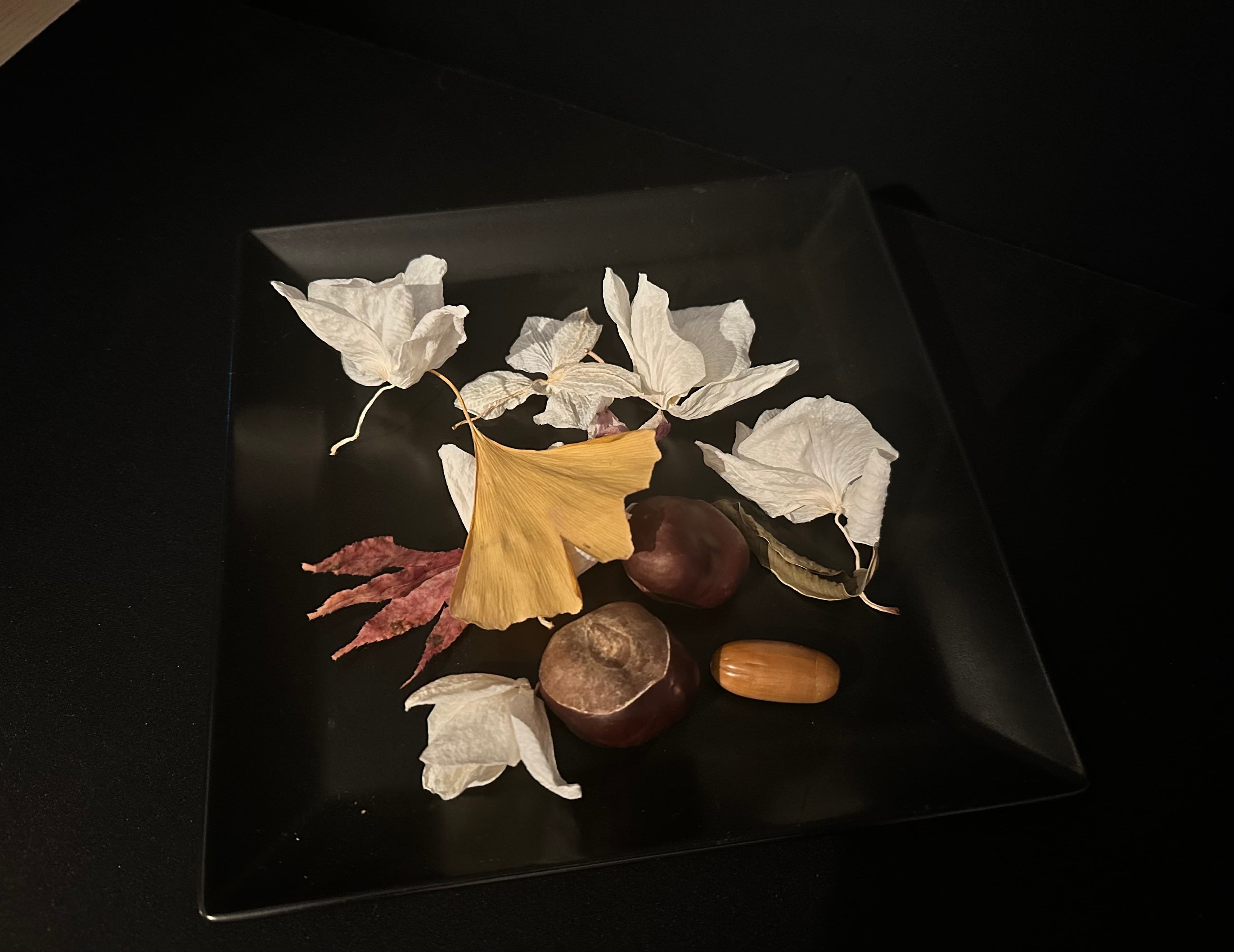 The Black Tray